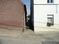 46_Rollebaan_aug 2013_=voor recente nieuwbouw