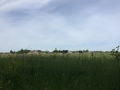 Kris VH_16