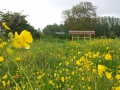 20160522_155226