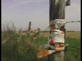 tomas_op-pad_095
