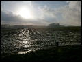 tomas_op-pad_175