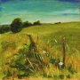 Willem Hoet_13