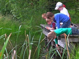 TW wandeling FMonsecour_30juni2013_40